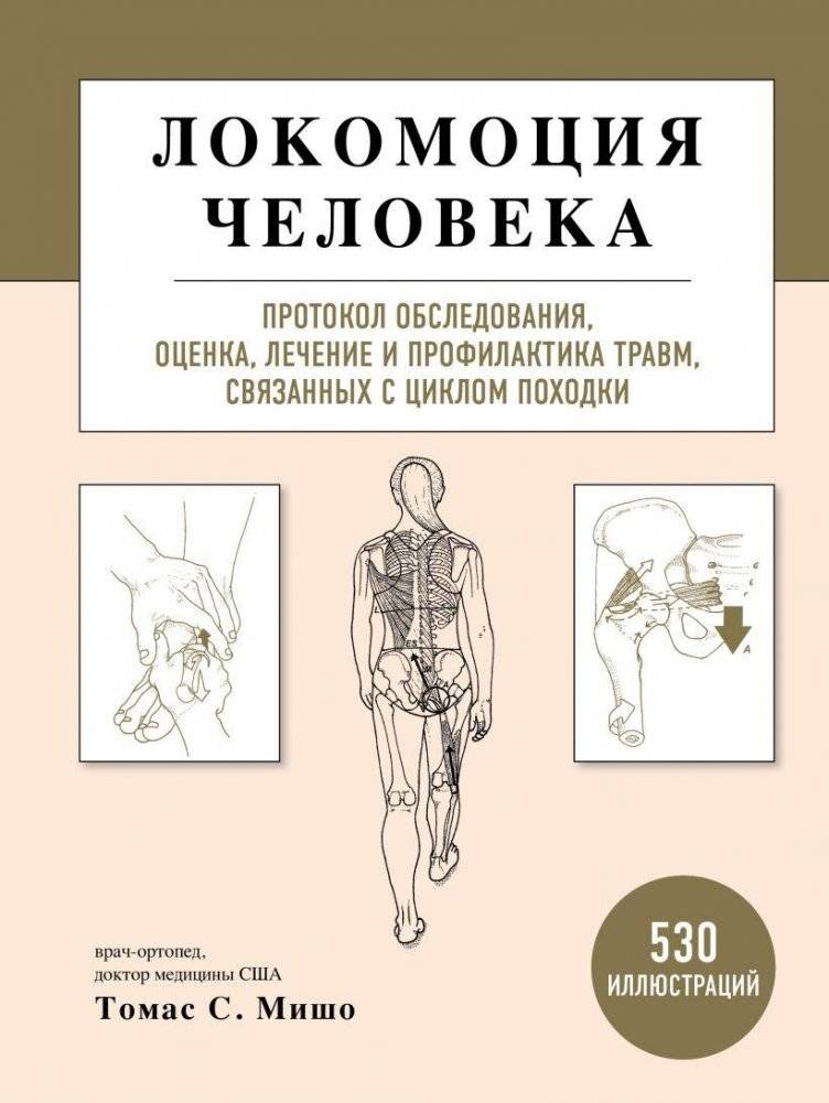 Локомоция человека. Протокол обследования, оценка, лечение и профилактика травм, связанных с циклом походки | Human Locomotion: Gait Cycle Injury Assessment, Treatment, and Prevention