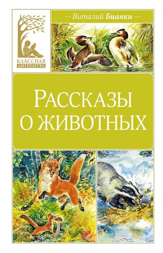 Рассказы о животных | Animal Stories