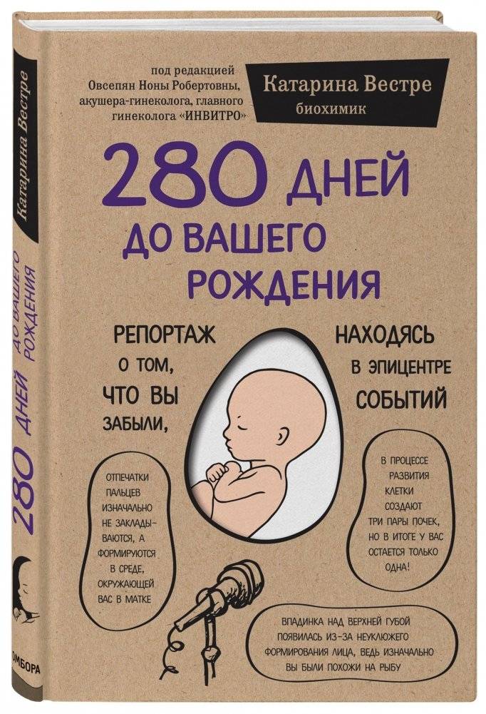 280 дней до вашего рождения. Репортаж о том, что вы забыли, находясь в эпицентре событий | 280 Days Before Your Birth: A Report on What You Forgot at the Epicenter