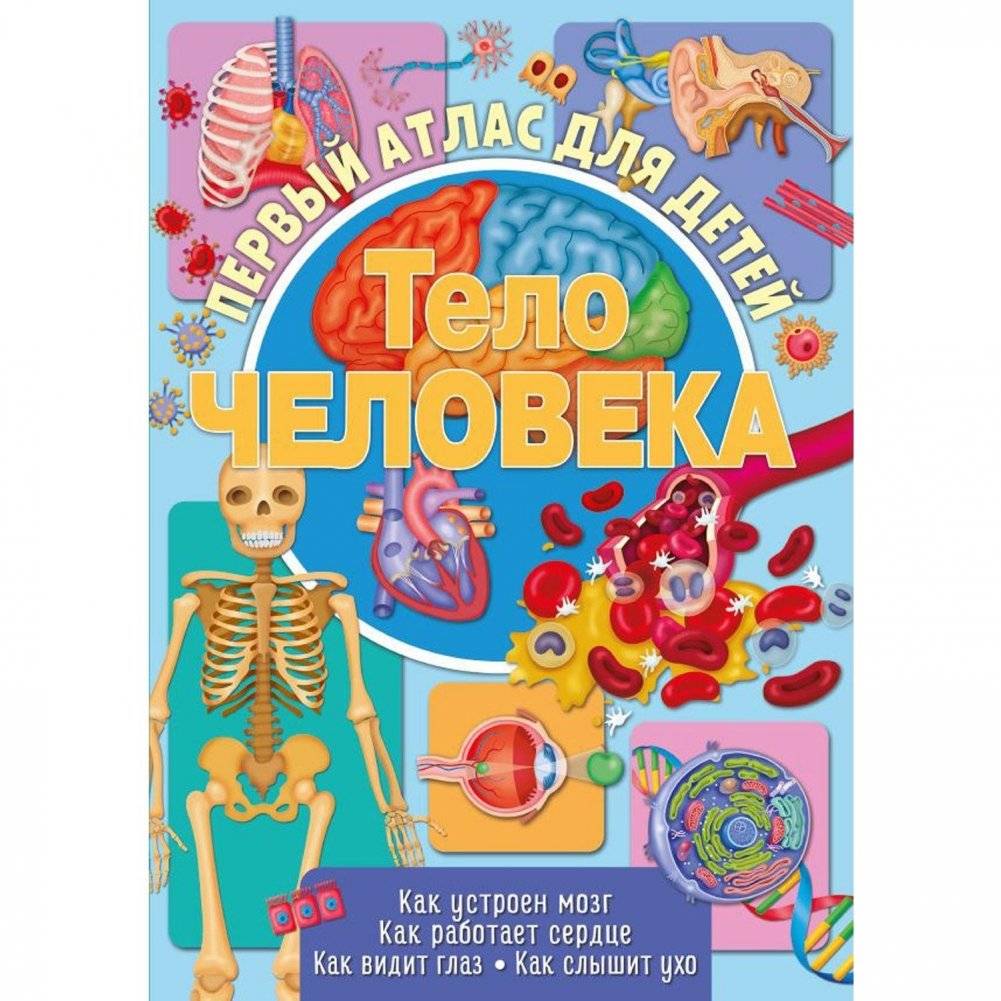 Первый атлас для детей. Тело человека | My First Atlas: The Human Body