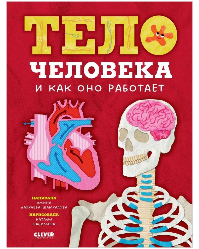 Тело человека и как оно работает | Body of a Person and How It Works