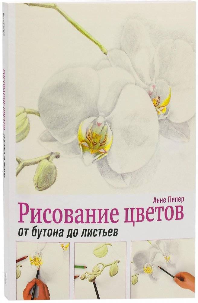 Рисование цветов от бутона до листьев. Руководство | Drawing Flowers from Bud to Leaves. Guide