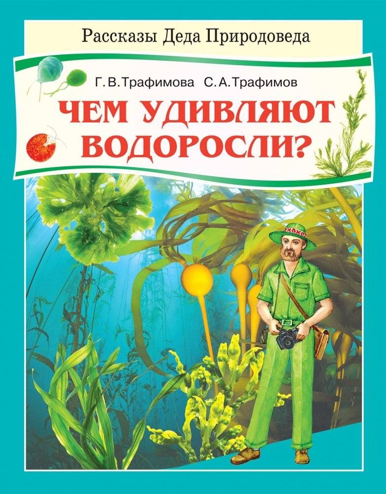 Чем удивляют водоросли? | What Surprises Do Seaweeds Hold?