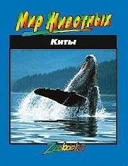 Киты | Whales