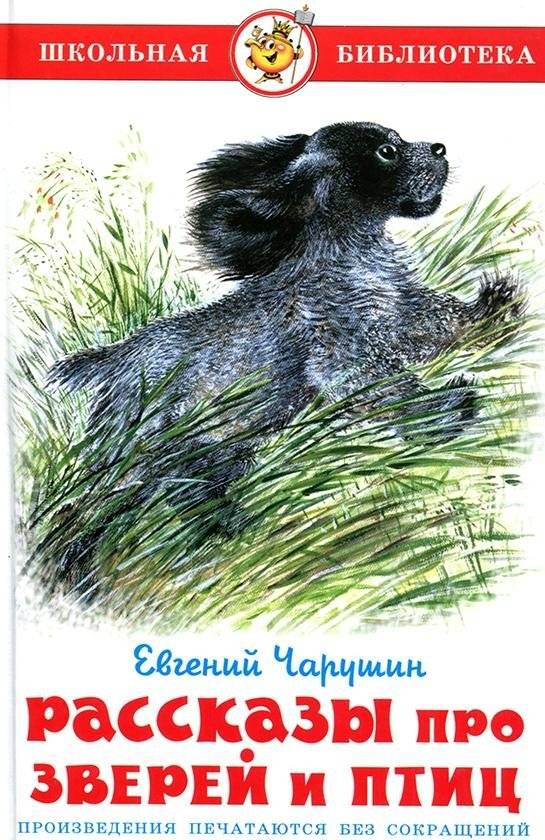 Рассказы про птиц и зверей | Stories About Birds and Animals