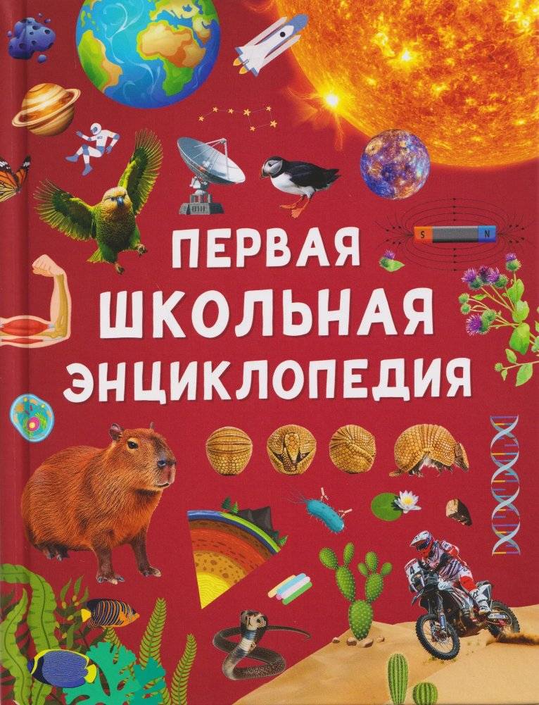 Первая школьная энциклопедия | First School Encyclopedia