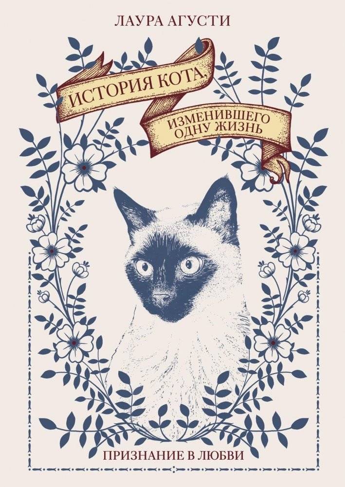 История кота, изменившего одну жизнь. Признание в любви | The Story of a Cat Who Changed a Life: A Declaration of Love