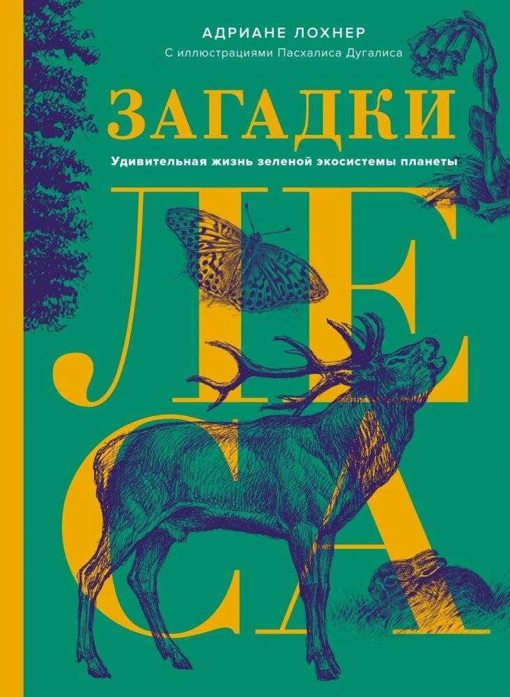 Загадки леса. Удивительная жизнь зеленой экосистемы планеты | Forest Mysteries: The Amazing Life of Earth's Green Ecosystem