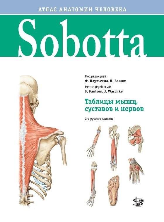 Sobotta. Таблицы мышц, суставов и нервов | Sobotta. Tables of Muscles, Joints, and Nerves