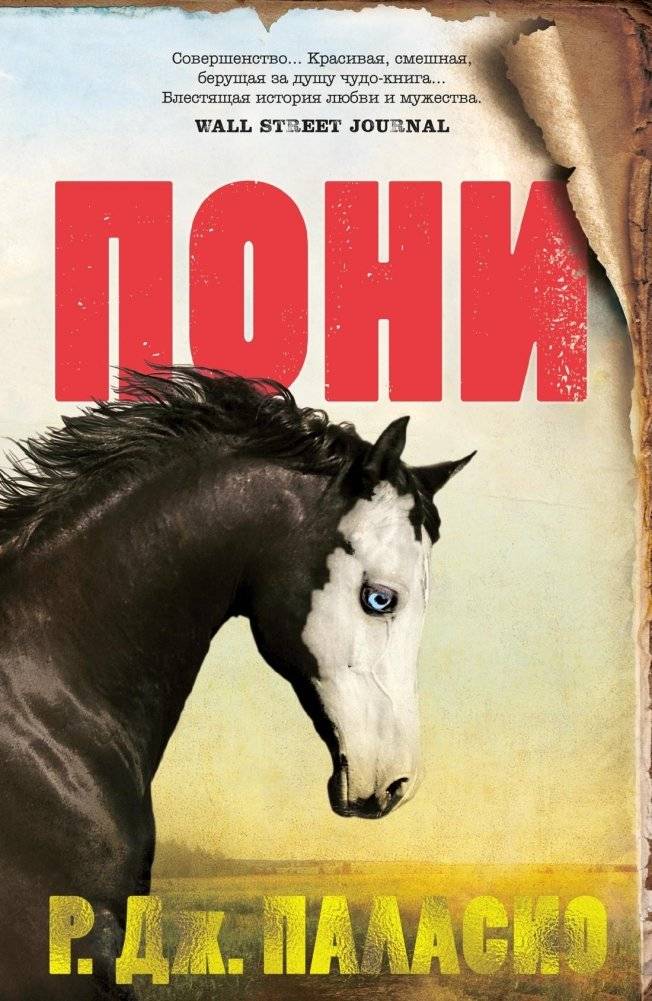 Пони | The Pony